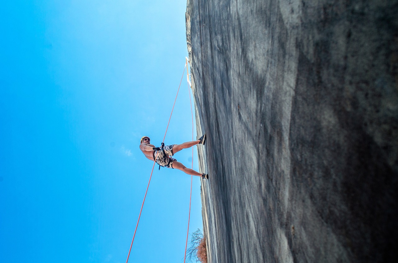 discover the power of resilience and learn how to overcome challenges, adapt to change, and thrive in both personal and professional life with practical tips and inspiring stories.
