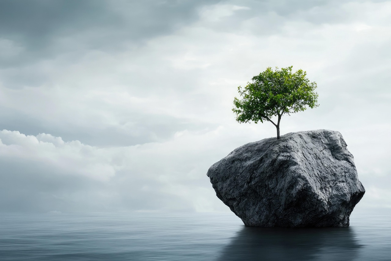discover the true meaning of resilience, its importance in overcoming challenges, and practical ways to build resilience in your daily life. empower yourself to bounce back stronger from setbacks.