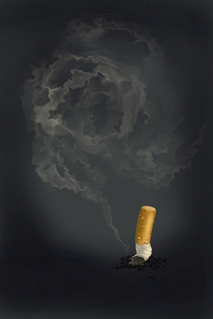 What Habits Differentiate Successful Entrepreneurs from Others?