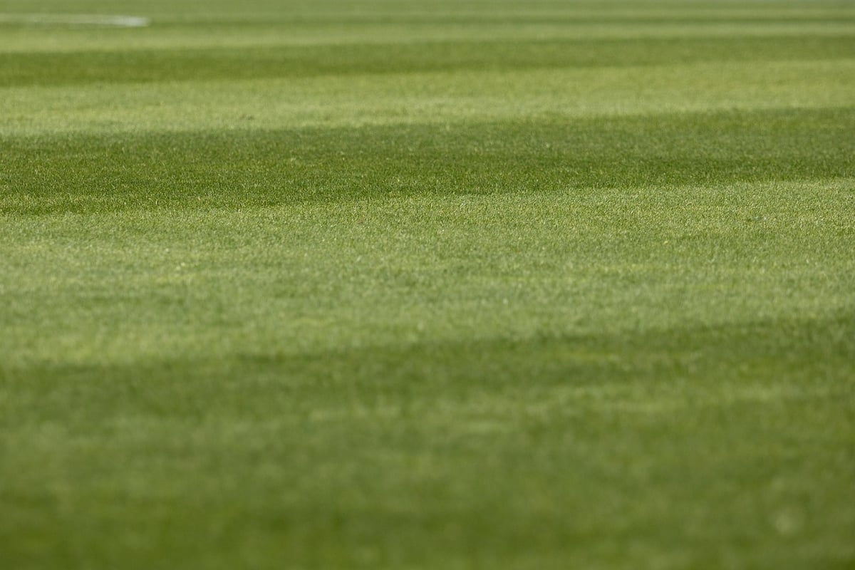 How do you prepare for your first investor pitch?