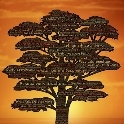 How Do You Cultivate a Growth Mindset as a Founder?