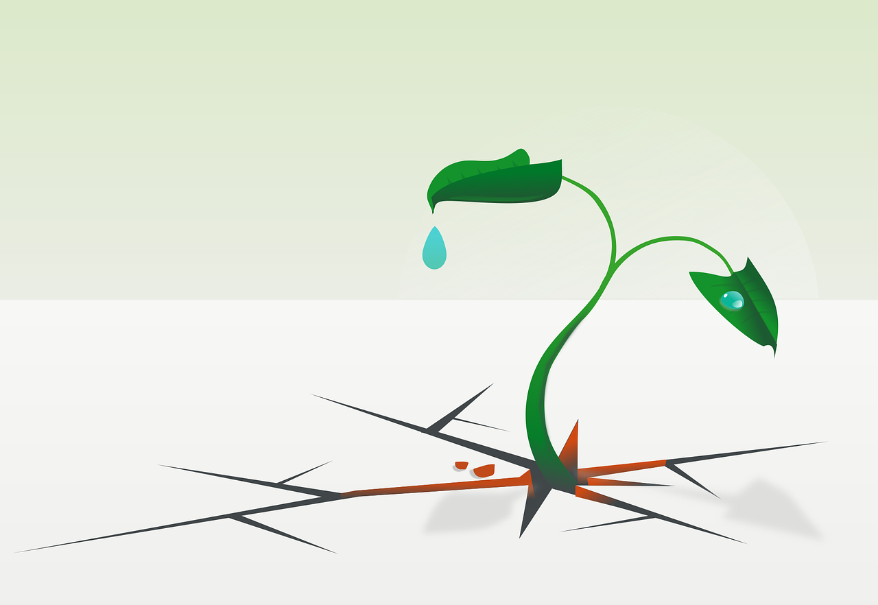 How Do You Build a Resilient Entrepreneur Mindset?